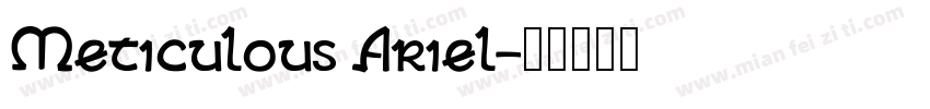 Meticulous Ariel字体转换